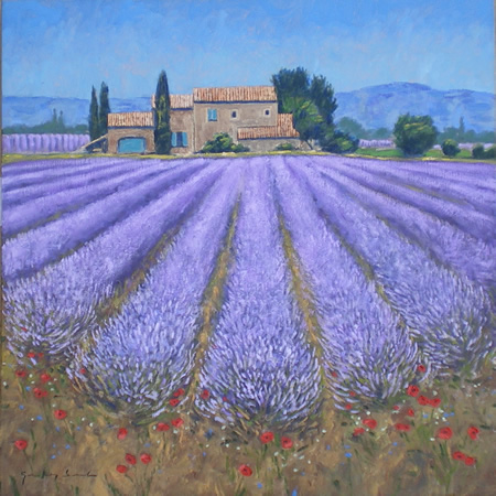 Lavender Field, Alpes de Haute, Provence